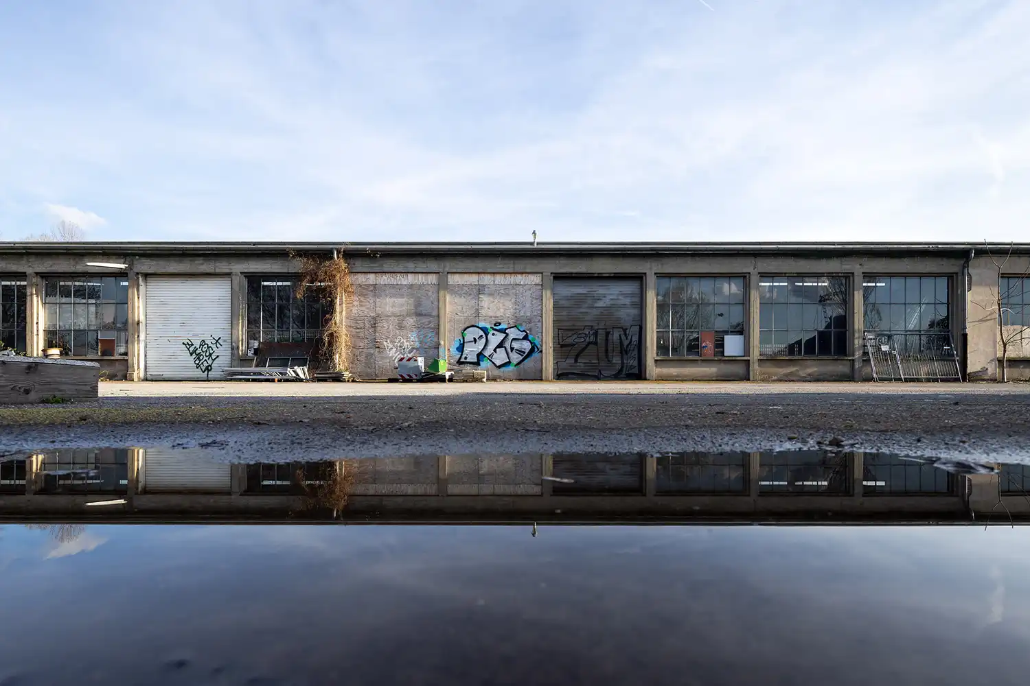 karlsruher-faecher-RVS-Hallen-2